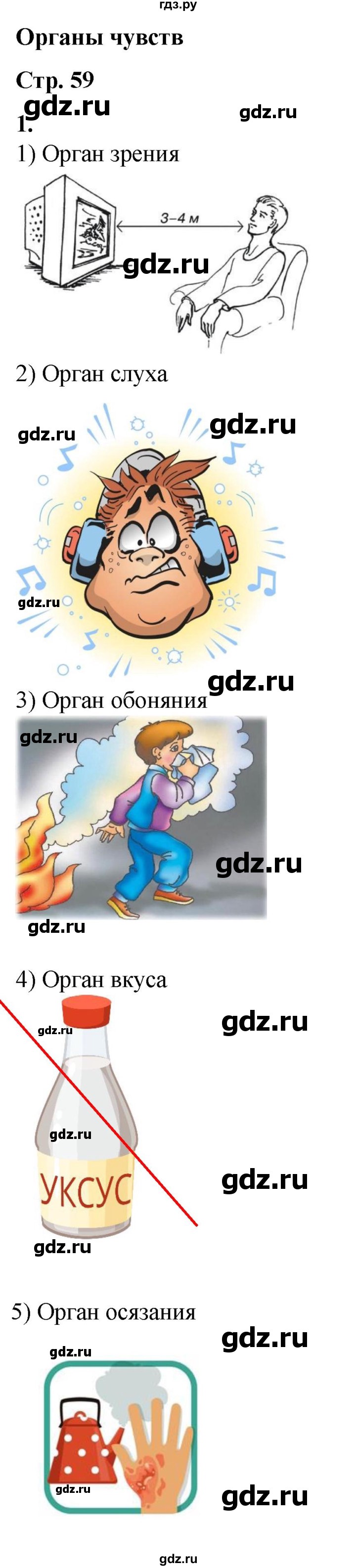ГДЗ по окружающему миру 3 класс  Плешаков рабочая тетрадь  часть 1. страница - 59, Решебник к тетради 2023