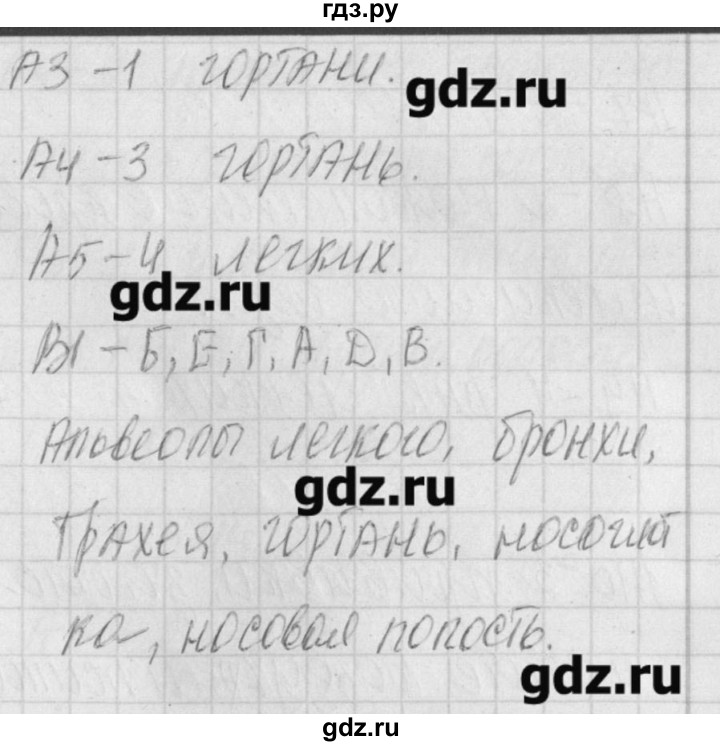 ГДЗ по биологии 8 класс Богданов контрольно-измерительные материалы  тест 14. вариант - 2, Решебник